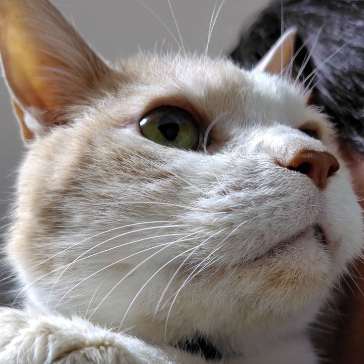 E2677870 fc30 4977 9a5c 1ea1c2aa2610 1762920145437