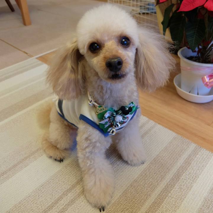 E2679d5e 2b17 4603 b0d1 08847b0fc27c 1639814187466