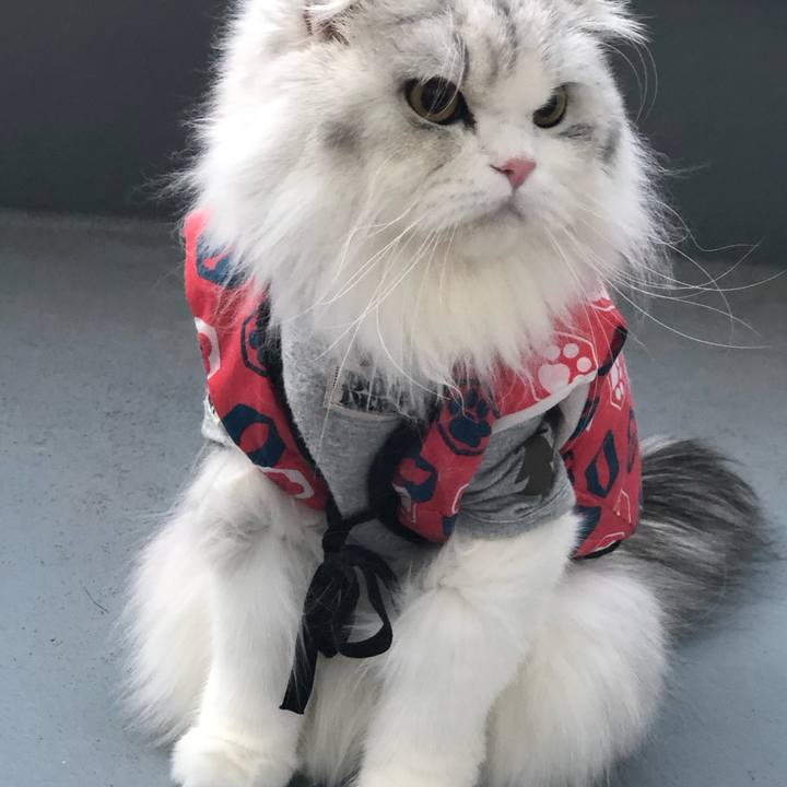 E267a32b 5fa2 4b2f 92bb 74e1662c4954 1638223048808