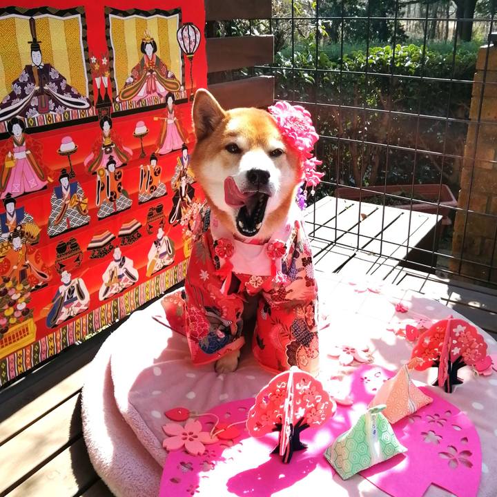 E267aaa2 5067 4f28 995d 3855bff258cd 1645932662957