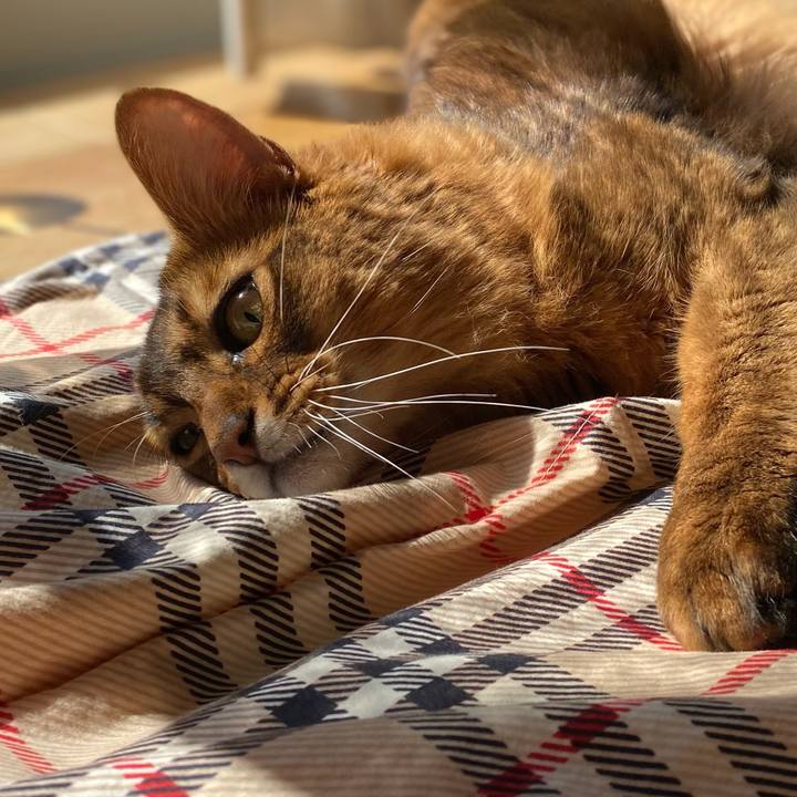 E267c663 4f35 4ba8 8ecc 6a34ade597e6 1665452866872