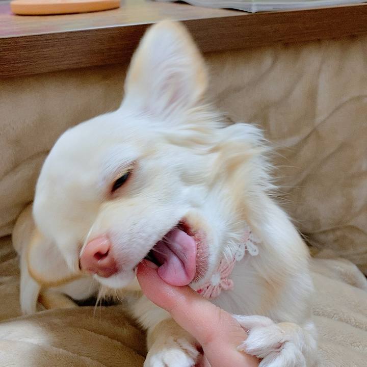 E267e0c7 19ce 4c09 a253 476ac385ee8f 1614047033625