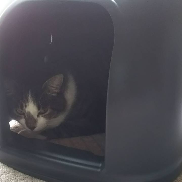 E2680173 6b32 4d6e 9b28 e54b9cab6a3f 1627273222092