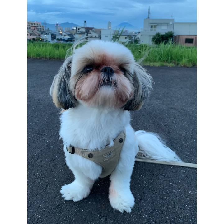 E26806ac 0348 409d 9ed8 e0e11f967815 1625564192668