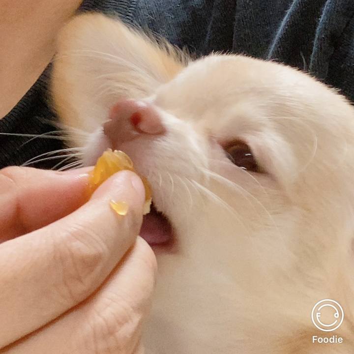 E2686bd7 d668 428b a5c3 09b33045f787 1602242746190