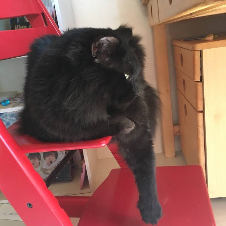 E26873d4 a7cc 4e7d 9836 c22a1bf2c470 1560051651575