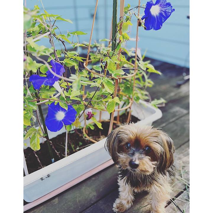 E268bea1 430d 47af b39a 1c0eaba31210 1691802057461