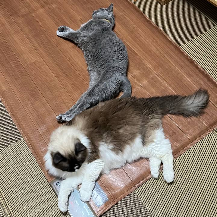 E268c080 c0b9 4ee0 82be 8942956f7471 1738981115754