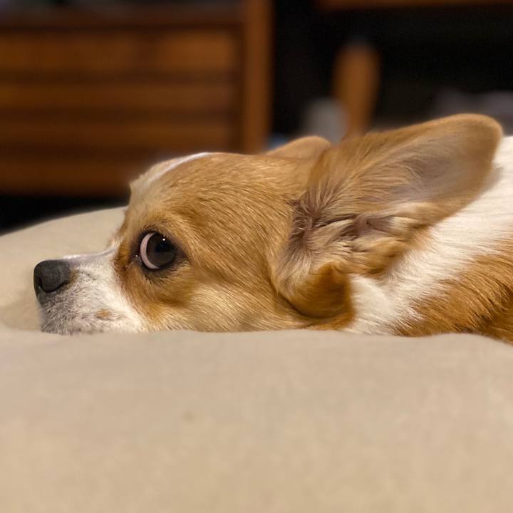 E268efa9 9b38 49a4 b911 015f9840196a 1578738255988