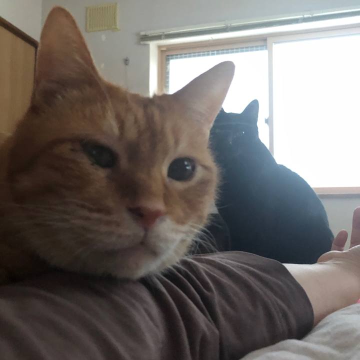 E2690d3a eb24 4ba7 8486 bfcba3544461 1704148803507