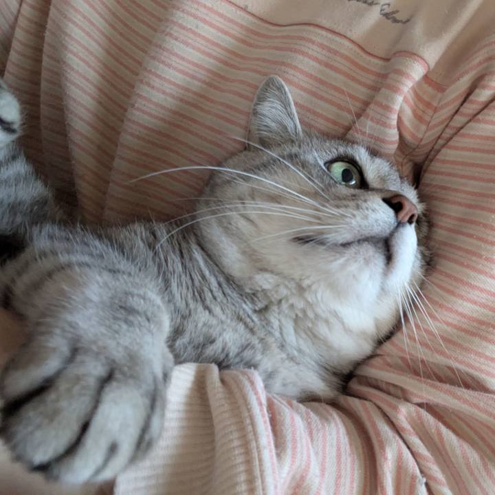 E26924ba a3ff 44ec a0c3 a44540914348 1742716112112