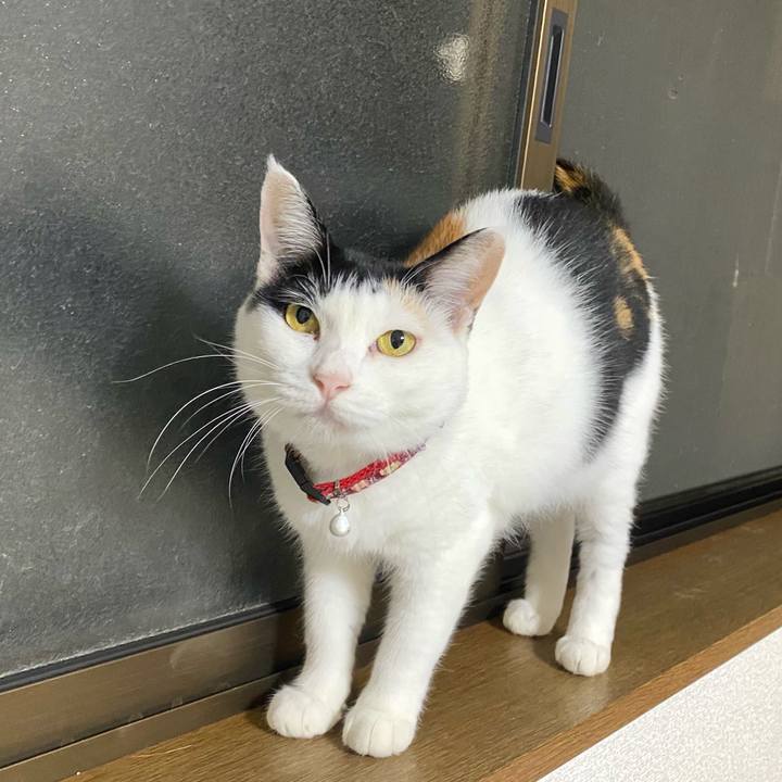 E2694ef4 cca1 4c63 ac49 c355ba319059 1660395542859