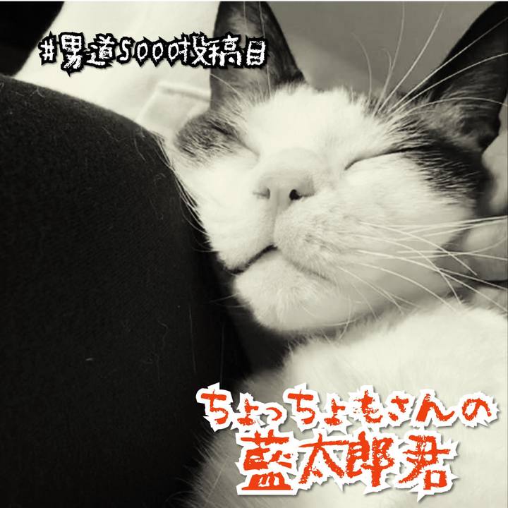 E2695bc0 af11 4287 987e e8500214de7e 1580114503120