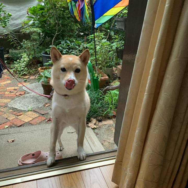 E2696717 e5a4 4bbc 97f8 3ab457b07d59 1634617419414