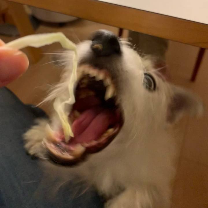 E269a74d 1d4f 46a3 b383 6aab812bd1b5 1668423237979