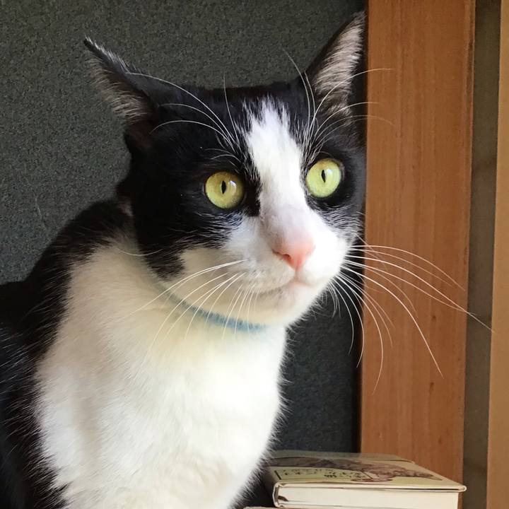 E269c809 4b7e 4c78 97a9 265bfd41eeea 1736755495233