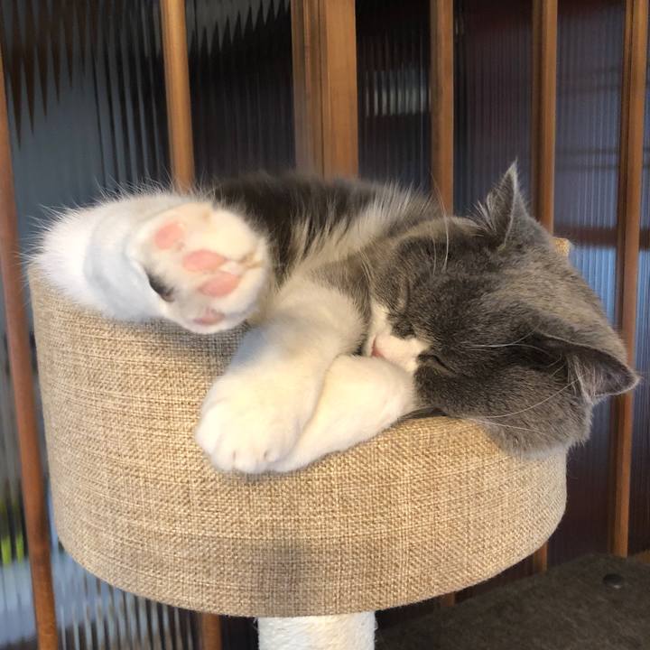 E269f1dd 60fa 44ef b469 2740272fbf33 1583375734980