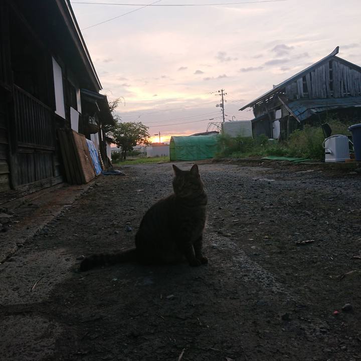 E269f47e f009 4fa4 9936 8754ca5be8ac 1663278890795