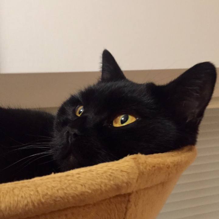 E269f7d4 bdc5 4374 b47e 4d72e169265c 1578574800193