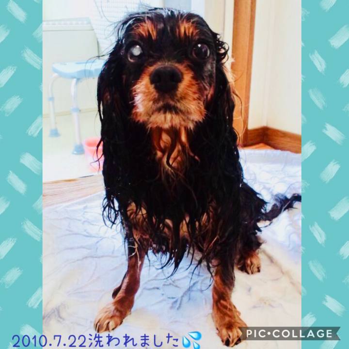 E26a0687 ae23 4956 9002 3b2fd76e4f3d 1595373935315