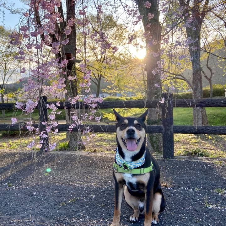 E26a833e 5795 4955 9a3c 307580a3d26c 1617454600180