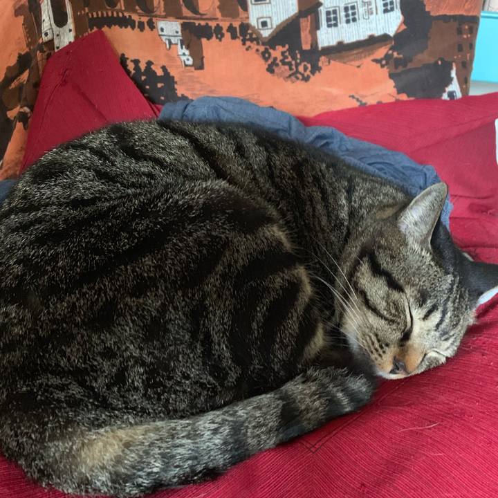 E26aacf8 529a 4d13 a599 edf509c3eab0 1571273926225