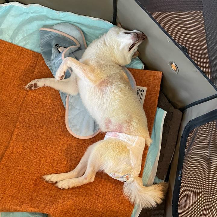 E26b28b0 2d63 4279 8214 864b97ef2979 1663657218667