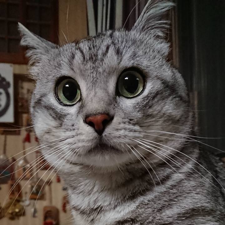 E26b42d3 e0f6 4c3f 8f00 c55d06d2065a 1519228271071