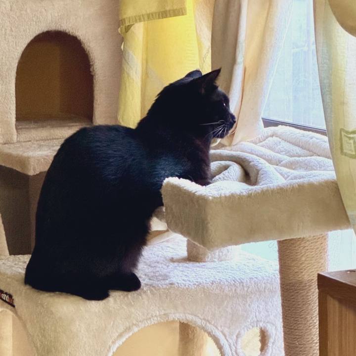 E26b7321 eb2e 41b6 9dc2 1d38c586775a 1761541149397