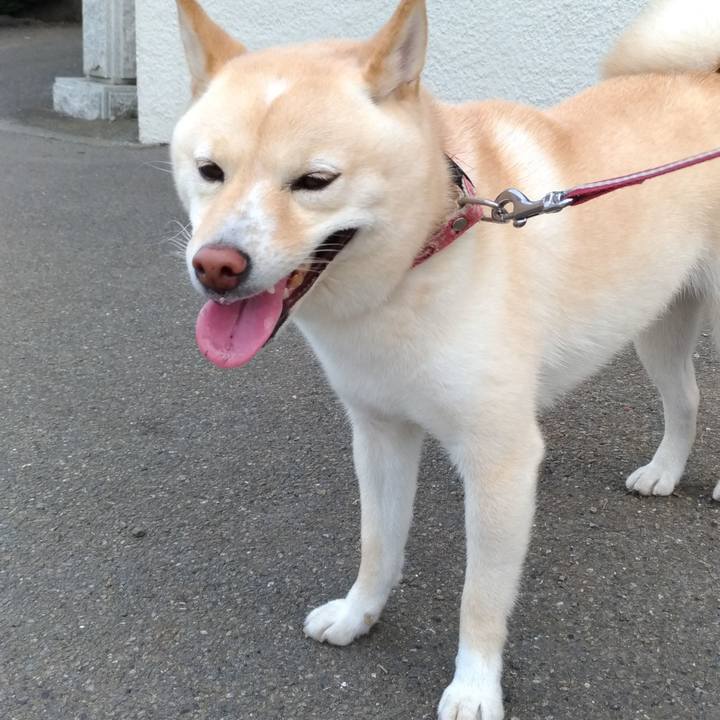 E26b843e 4511 45c7 9389 1539cd851ef5 1598395019655