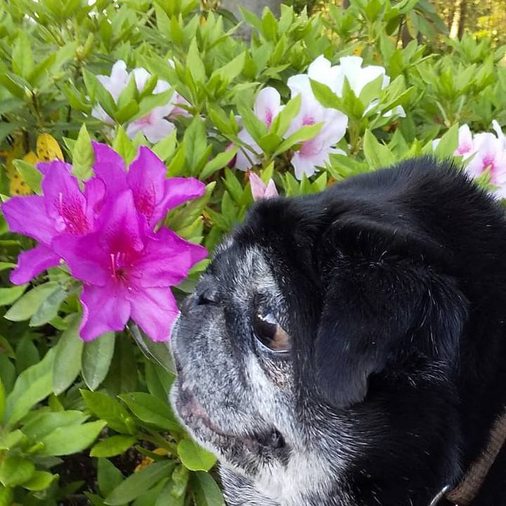 E26bb21c 089f 41c5 a68a 840600de4d9c 1557380054819