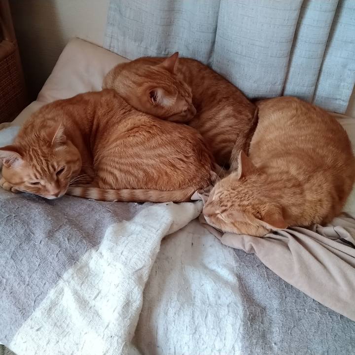 E26bb78f 4f76 45aa 817a d768bba98ff9 1587187061010