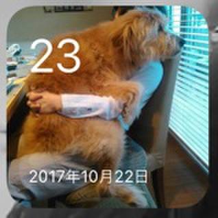 E26bbc23 1ba9 4821 8ba1 8ec0af272217 1634954932053