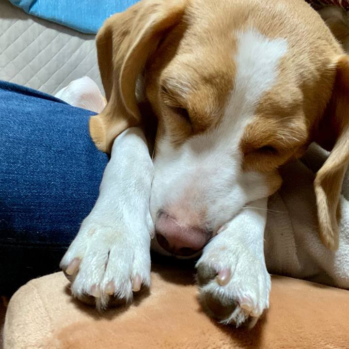 E26bd040 9788 4df3 a5ce beeaeb5e7545 1603614568845