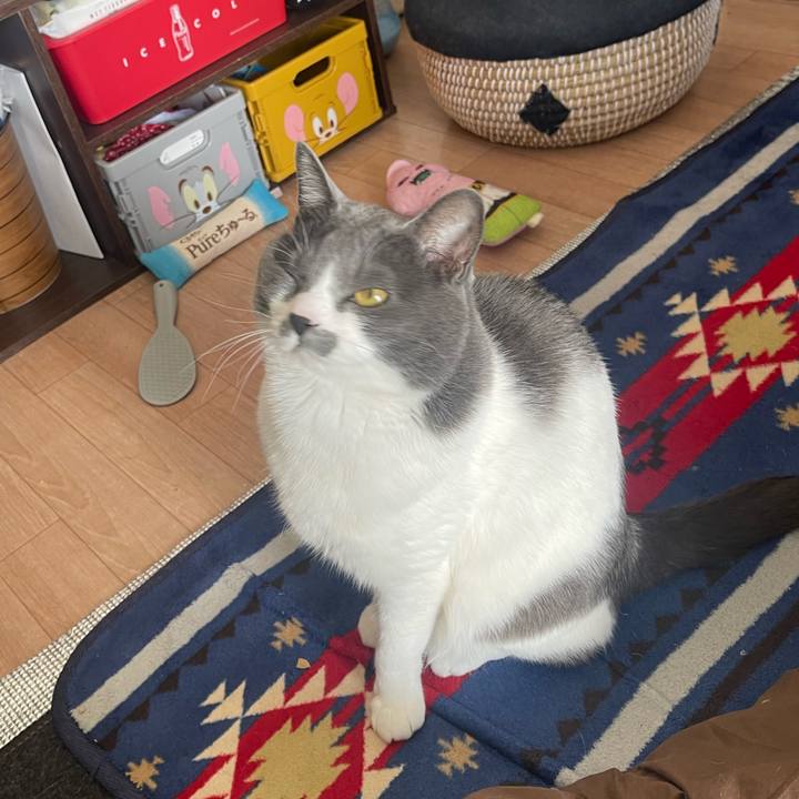 E26bdbab ea65 4ea3 b21f 34615f250db6 1675482400626