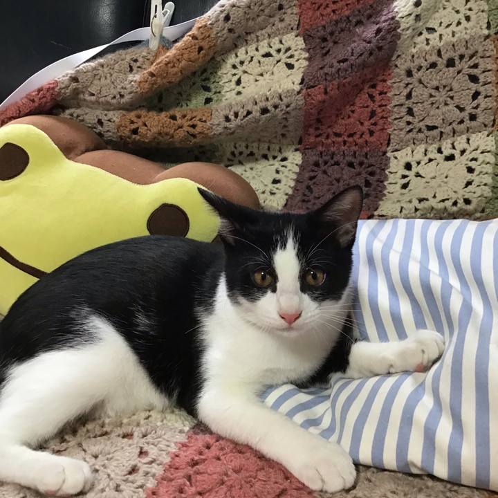 E26bf8c7 5c7e 44bf a6b7 f69d35f469d2 1629676767305