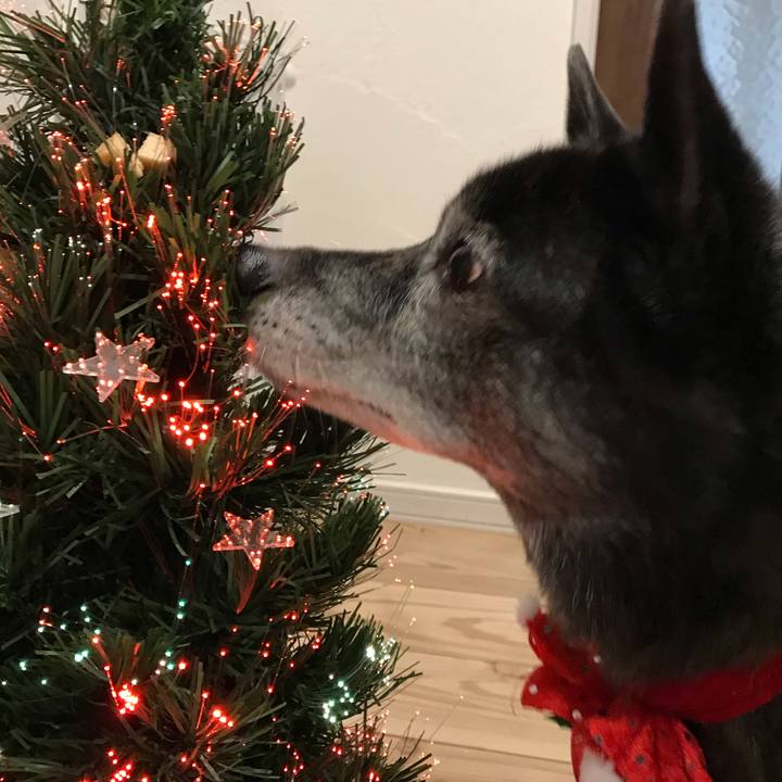 E26bfb55 afc1 4cc2 a6a0 dd34d11fefd7 1608890724896