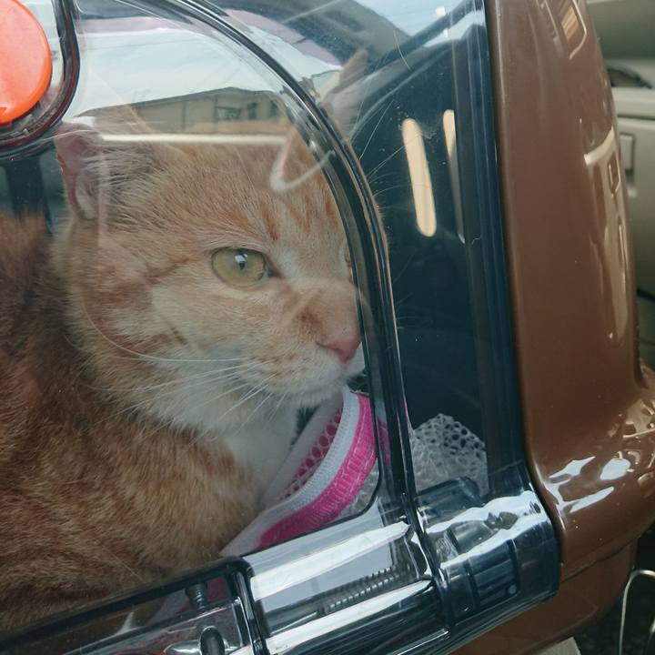 E26c0023 fc08 48ad 9b50 f6f2eeb6d350 1588468443956