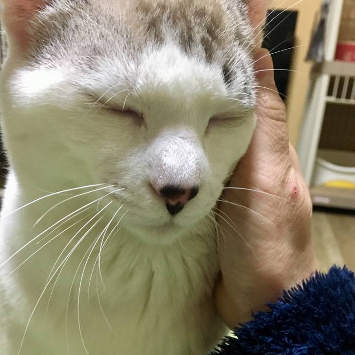 E26c4d39 6766 4e9d a126 158d5623321f 1549370307052