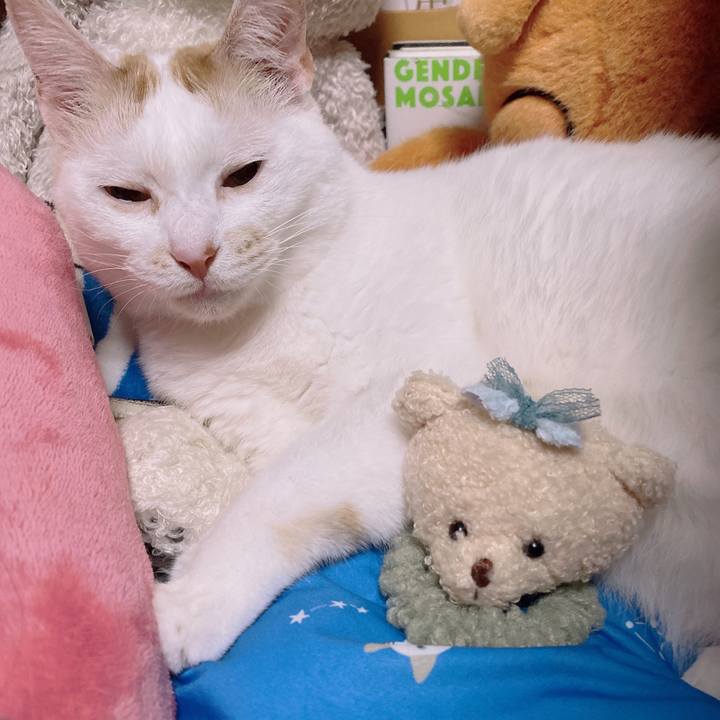 E26c92d8 b495 4e51 b7e3 3a30ab1da50e 1654253717415