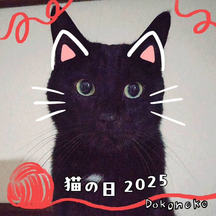 E26cc144 a86c 40b4 b73b 2be6cfe23ab3 1740138205865