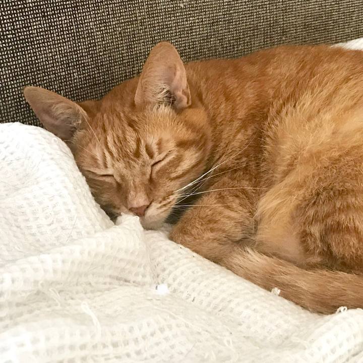 E26cc7d3 6842 4327 8e54 b603fb9b6d4c 1562587471736