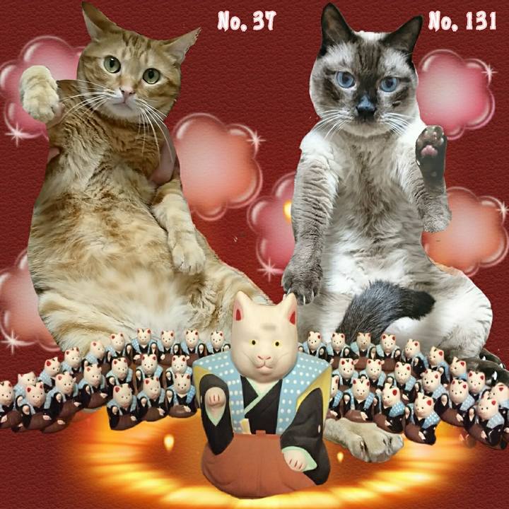 E26cfd1c a1a0 4d54 a049 8c264c667faf 1538226118129