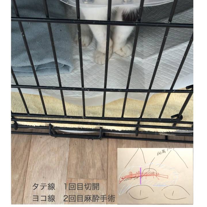 E26d07ba 4aba 434b 8e89 58874ab40730 1579588836371