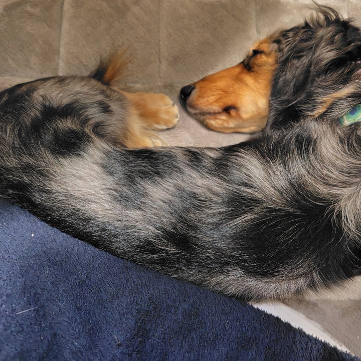 E26d17c7 8472 44fc 9f70 7d4506987e54 1736077269137