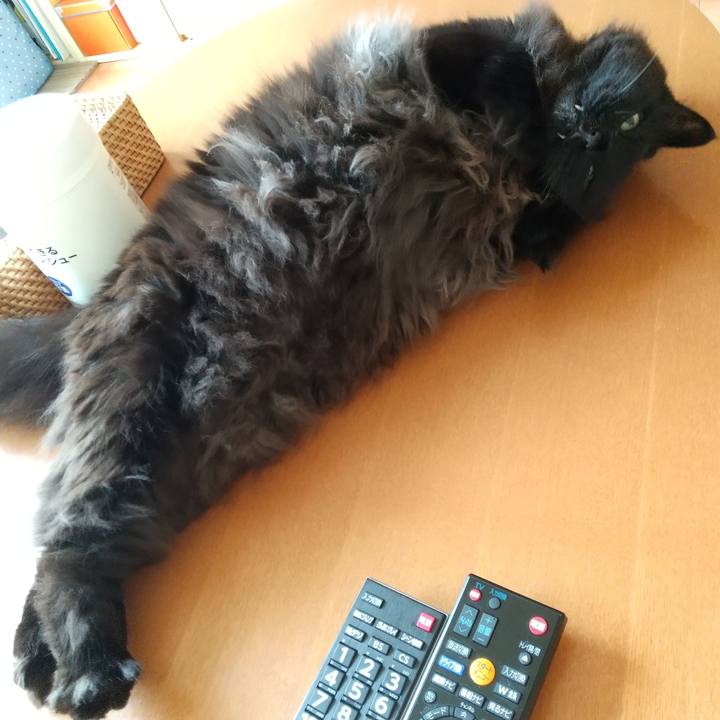 E26d1fe0 55aa 4ba9 a94f f353b6816b01 1623026121503