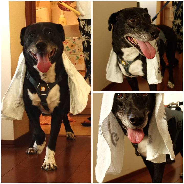 E26d4b32 886d 4f75 b9ce fca65863d3c8 1718795309928