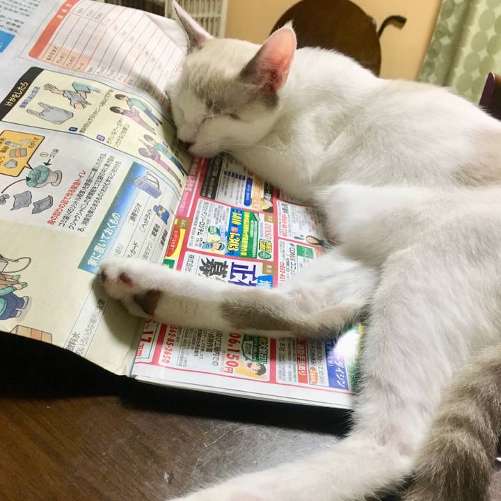 E26d4b88 e01b 4fbe 8d91 bcee66abdc74 1536583210890