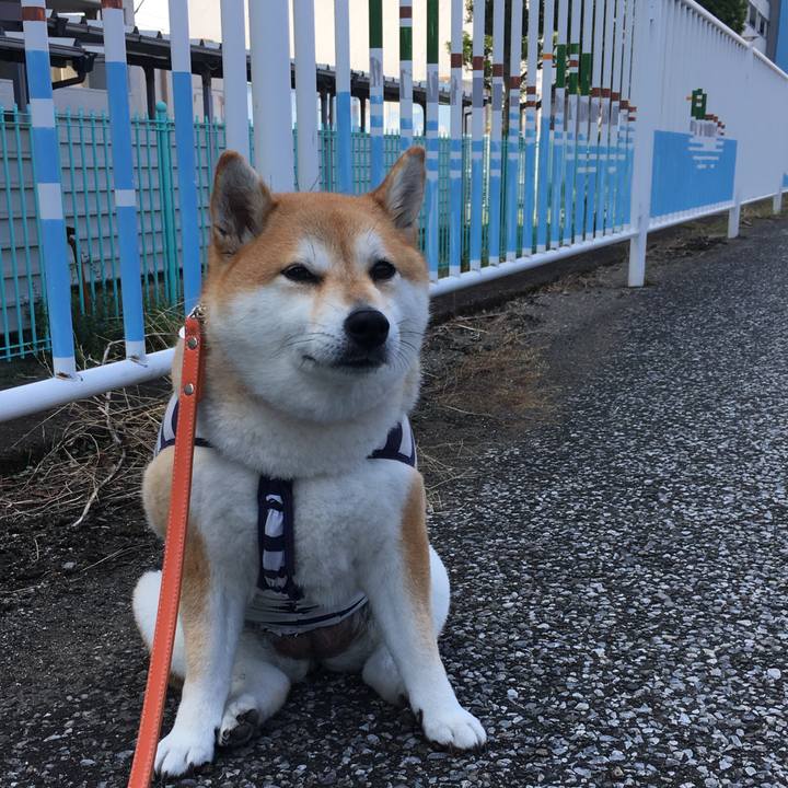 E26d80b9 c2a2 4f72 a5ff 3ca29933687b 1569983046682