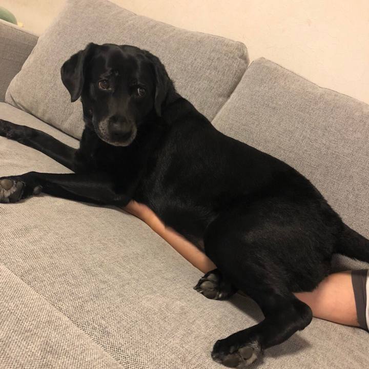 E26de809 e6a0 4b39 a0ad f6d418cb8e9d 1539004692417